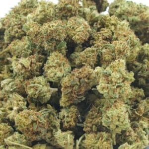 Limoncella Mini buds CBD