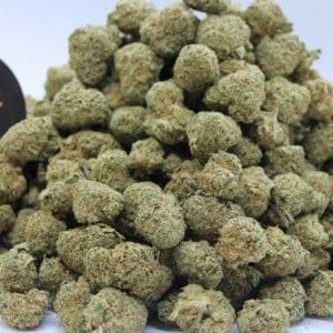 Candy kush mini bud indoor - Destock CBD1