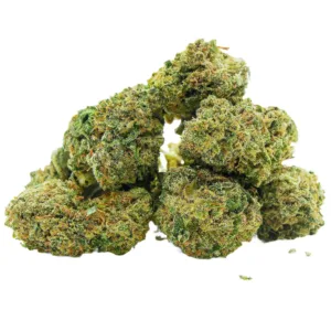 Critical Small Buds