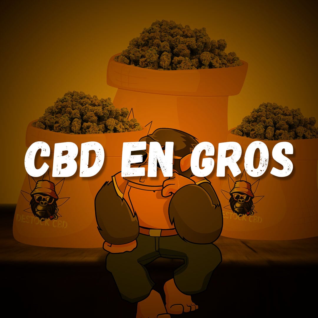 CBD-en-gros-thumbnail 20240920-WA0008