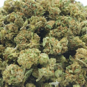 Momo Skunk Mini buds CBD