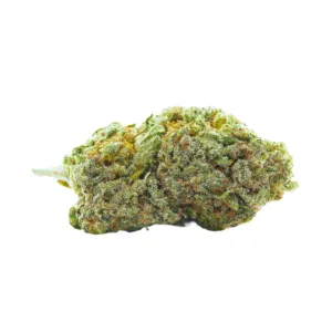 Big Buddha Cheese Indoor