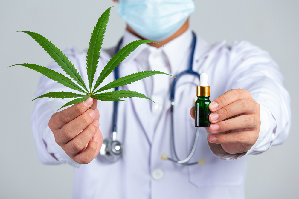 les mains d'un médecin en blouse blanche avec un stethoscope autour du cou qui tiennet une feuille de cannabis sativa et un flacon d'huile de CBD