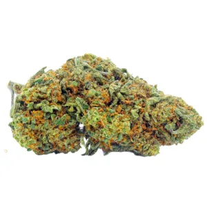 Diesel Tonic Hybride Premium