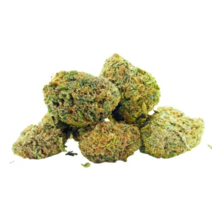 Hawaiian Lifter Small Buds