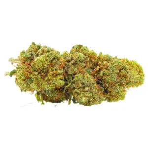 Lemon Haze Hybride Premium