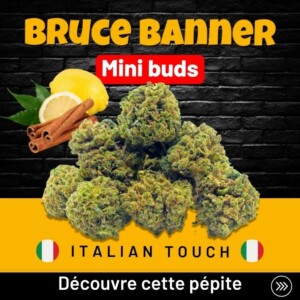 Mini buds Bruce Banner pas cher