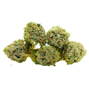 White Cali Small buds